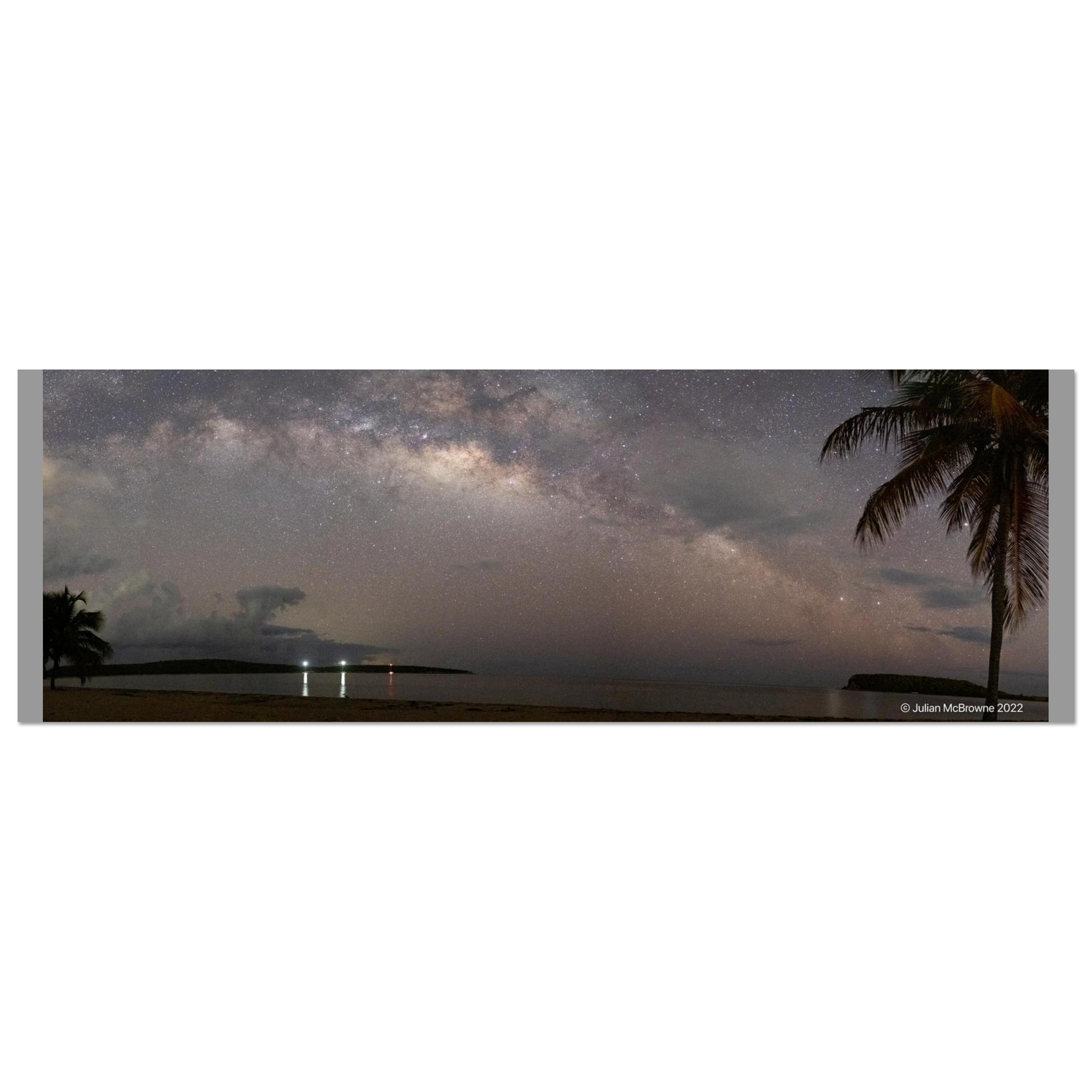Palm Tree Panorama / 8x24″